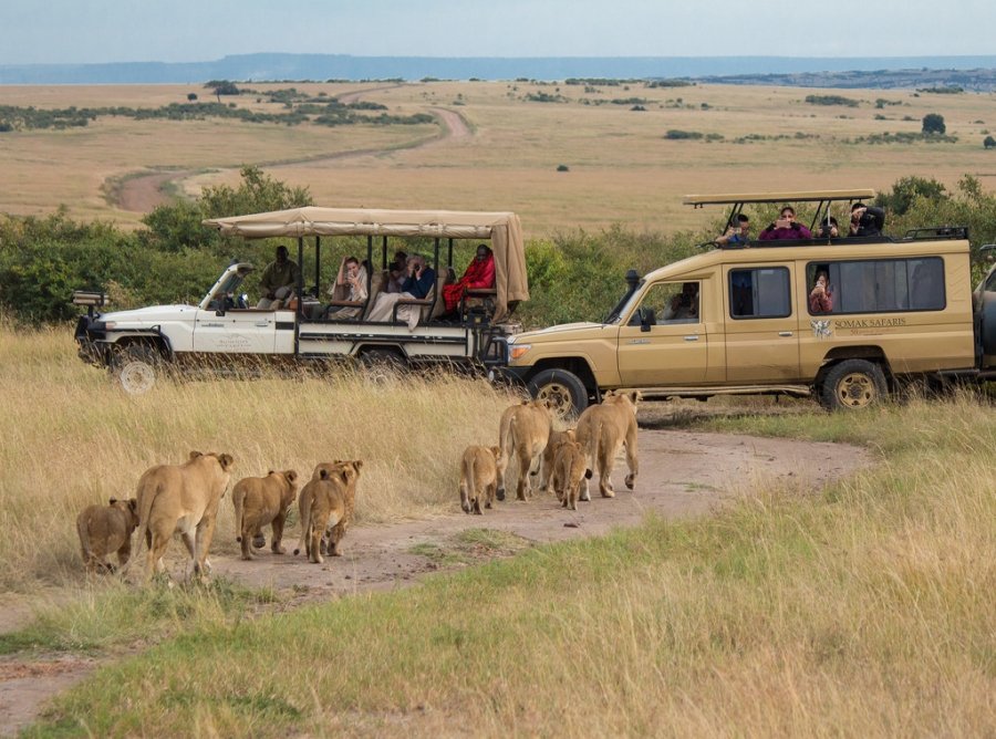 safariinthemaasaimara